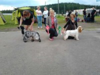 /album/ilpo/iski-099-jpg/